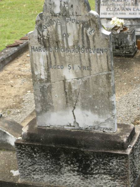 Harold Richard STEVENS,  | aged 5 1/2 years;  | Appletree Creek cemetery, Isis Shire  | 