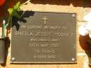
Sheila Jessie ROONEY,
died 13 May 1997 aged 78 years;
Bribie Island Memorial Gardens, Caboolture Shire
