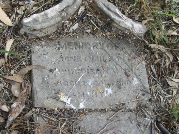 Agnes NEILSON  | May 17th  | aged 3? years and 4 months  |   | Goodna General Cemetery, Ipswich.  |   | 