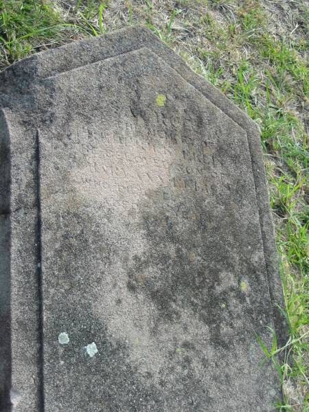 ??rter Nelly  | son of  | Mary Ann LE?IS  | d: Feb 1904?  | aged 2 years  | [REDO]  | Harrisville Cemetery - Scenic Rim Regional Council  |   | 