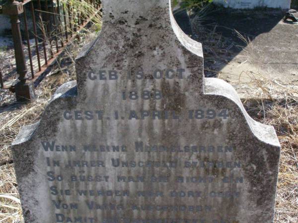 Wilhelm DOMJAHN,  | born 15 Oct 1888 died 1 April 1894;  | Kalbar St Marks's Lutheran cemetery, Boonah Shire  | 