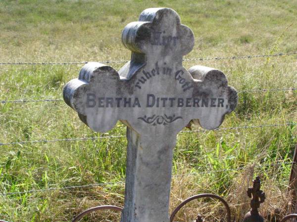 Bertha DITTBERNER,  | born 18 Oct 1875 died 12 Aug 1894;  | Kalbar St Marks's Lutheran cemetery, Boonah Shire  | 