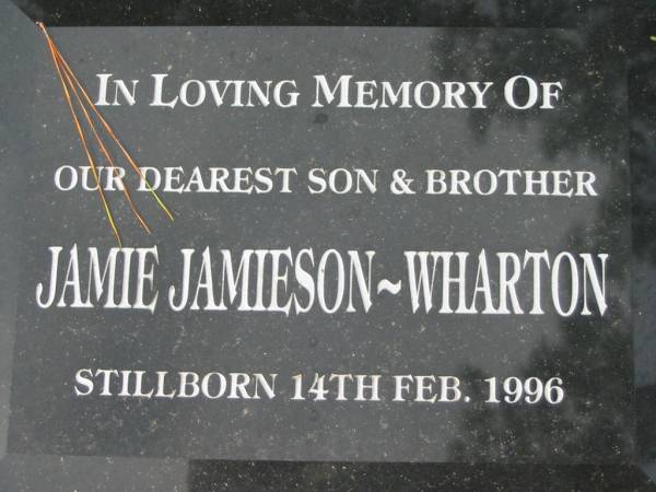 Jamie JAMIESON-WHARTON, stillborn 14 Feb 1996, son brother;  | Logan Village Cemetery, Beaudesert Shire  | 