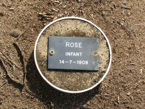ROSE, infant female,  | died 14-7-1908;  | Ma Ma Creek Anglican Cemetery, Gatton shire  | 