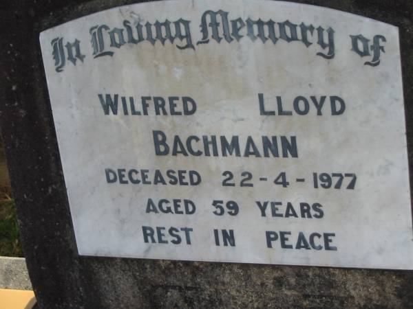 Wilfred Lloyd BACHMANN,  | died 22-4-1977 aged 59 years;  | Marburg Lutheran Cemetery, Ipswich  | 