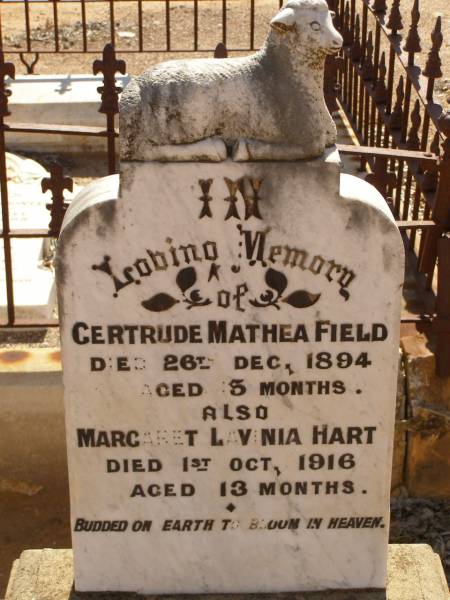 Gertrude Mathea FIELD,  | Cemetery,  | Nyngan, New South Wales  | 
