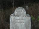
Wilhemine C C SCHODER
geb Nov 17 1837
gest July 25 1912
Vernor German Baptist Cemetery, Esk Shire 
