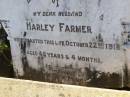 
Harley FARMER,
husband,
died 22 Oct 1918 aged 43 years 4 months;
Yangan Anglican Cemetery, Warwick Shire
