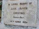 
Jesse Alfred CHRISTMAS,
dad,
died 14 March 1954;
Yangan Anglican Cemetery, Warwick Shire
