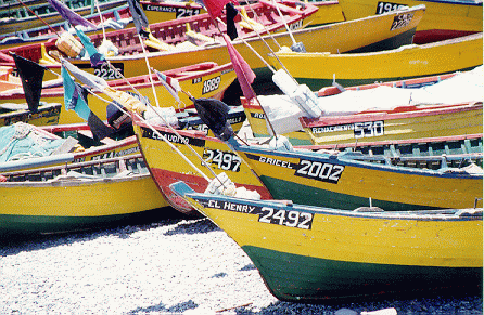 fishing boats in Valparaiso, Chile