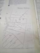 100_0223.JPG