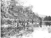 Aborigines fishing in the Brisbane River