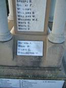 B SPEEPS F SOLWAY T WILLIAMS B WILLIAMS W WILLIAMS W E WILLIAMS S WHITE C WHITE D WHITE  A WATSON W WRAY G WILKIE W WELLINGTON  J V NELSON W PULLEN P J SHEEHAN N SPEARING H SANDERSON R TART J D THOMPSON A P TYLER H T TAYLOR H WHILE J B WOODS  Killarney War Memorial - Warwick Shire 