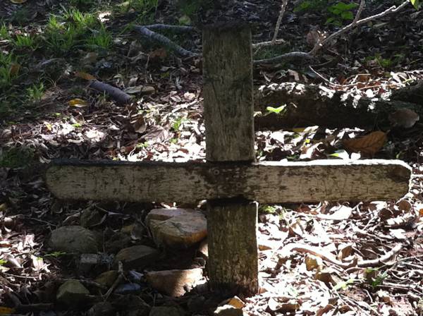 Daniel CLOWES?  |   | Clowes Graves, Tom Jeffery Memorial Park, Agnes Water, Gladstone Region  |   | 