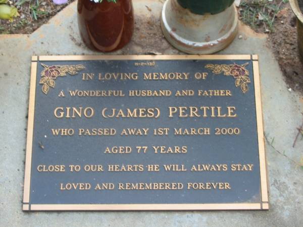 Gino (James) PERTILE  | 1 Mar 2000  | aged 77  |   | Albany Creek Cemetery, Pine Rivers  |   | 
