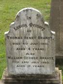 Thomas Henry BRANDT, died 4 July 1921 aged 4 years; William George BRANDT, died 23 July 1930 aged 10 years; Appletree Creek cemetery, Isis Shire 