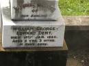William George Edward (Teddy) DENT, died 18 Jan 1938 aged 5 years 3 months; Appletree Creek cemetery, Isis Shire 