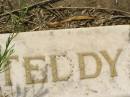 William George Edward (Teddy) DENT, died 18 Jan 1938 aged 5 years 3 months; Appletree Creek cemetery, Isis Shire 