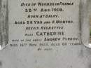 
Andrew PURDON,
husband father,
born Govan Scotland,
died 22 Oct 1915 aged 78 years;
Janes PURDON,
born Dalby,
died of wounds in France 22 Aug 1918
aged 28 years 5 months;
Catherine,
wife of Andrew PURDON,
died 16 Nov 1923 aged 80 years;
Appletree Creek cemetery, Isis Shire
