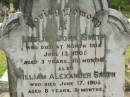 
Leslie John SMITH,
died North Isis 13 June 1905
aged 3 years 10 months;
William Alexander SMITH,
died 17 June 1905 aged 8 years 8 months;
Catherine SMITH,
died 9 Feb 1926 aged 32 years;
John SMITH,
died 28 March 1928 aged 69 years;
Mary,
wife,
died 22 July 1943 aged 84 years;
Appletree Creek cemetery, Isis Shire
