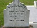 
Peter NEESHITA,
died 4 Nov 1934 aged 63 years;
Olga NEESHITA;
Appletree Creek cemetery, Isis Shire
