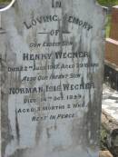 
Henry WEGNER,
eldest son,
died 22 July 1917 aged 39 years;
Norman Isis WEGNER,
infant son,
died 14 Oct 1899 aged 3 months 2 weeks;
Appletree Creek cemetery, Isis Shire
