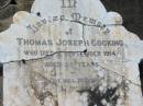 Thomas Joseph COCKING, died 3 Sept 1914 aged 35 years; Appletree Creek cemetery, Isis Shire 