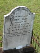 Ruby May, baby daughter of W.E. & A. COCKING, died 7 Feb 1898 aged 4 weeks; Appletree Creek cemetery, Isis Shire 