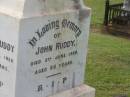 
John RUDDY,
died 2 June 1920 aged 66 years;
Arthur RUDDY,
died 26 Feb 1926 aged 23 years;
Appletree Creek cemetery, Isis Shire
