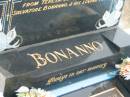 
Grazia BONANNO,
mother,
died 20 Oct 1940 aged 29 years;
Salvatore BONANNO,
died 10 Jan 1959 aged 56 years,
from Teresa wife of Salvatore BONNANNO & family;
Teresa BONANNO,
died 13 Feb 2004 aged 91 years,
mum to Harry & Mary, nanny;
Appletree Creek cemetery, Isis Shire
