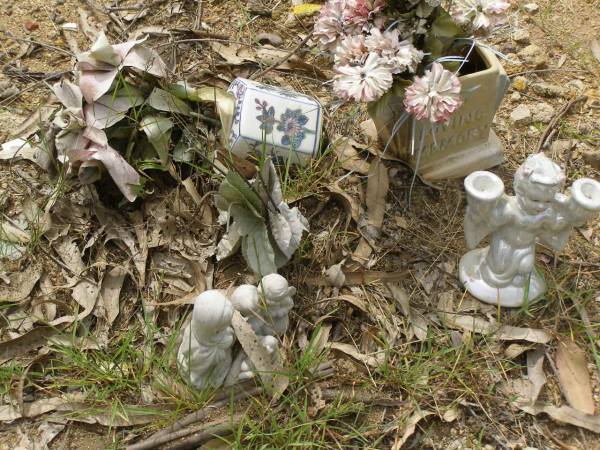 Appletree Creek cemetery, Isis Shire  | 