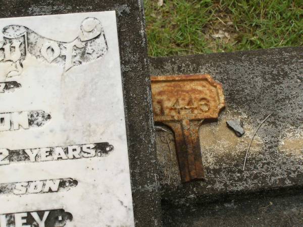 Elsie ROBINSON,  | mother,  | died 17-1-1968 aged 72 years;  | Arthur Dudley,  | son,  | died 1-3-1968 aged 50 years;  | Appletree Creek cemetery, Isis Shire  | 