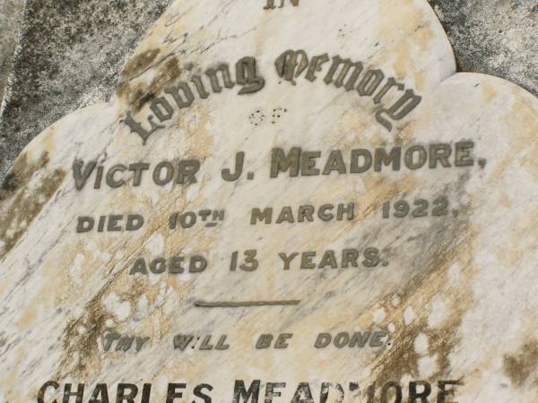 Victor J. MEADMORE,  | died 10 March 1922 aged 13 years;  | Charles MEADMORE,  | died 14 Feb 1941;  | John MEADMORE,  | died 23 July 1951;  | Ada Caroline MEADMORE,  | died 9 Sept 1957;  | Appletree Creek cemetery, Isis Shire  | 