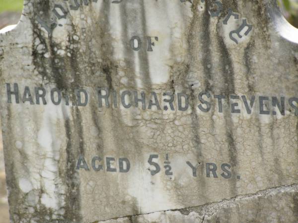 Harold Richard STEVENS,  | aged 5 1/2 years;  | Appletree Creek cemetery, Isis Shire  | 
