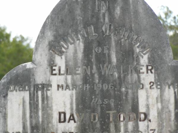 Ellen WALKER,  | died 12 March 1906 aged 28 years;  | David TODD,  | died 21 Feb 1918 aged 75 years;  | Rachel,  | wife,  | died 16 Aug 1922 aged 82 years;  | Appletree Creek cemetery, Isis Shire  | 
