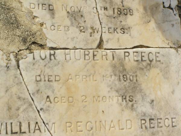 Laura Elsie May REECE,  | died 5 Dec 1909 aged 2 weeks;  | Victor Annessley REECE,  | died 9 Nov 1899 aged 2 weeks;  | Victor? Hubert REECE,  | died 1 April 1901 aged 2 months;  | William Reginald REECE,  | accidentally killed 16 Oct 1907 aged 5 1/2 years;  | Appletree Creek cemetery, Isis Shire  | 