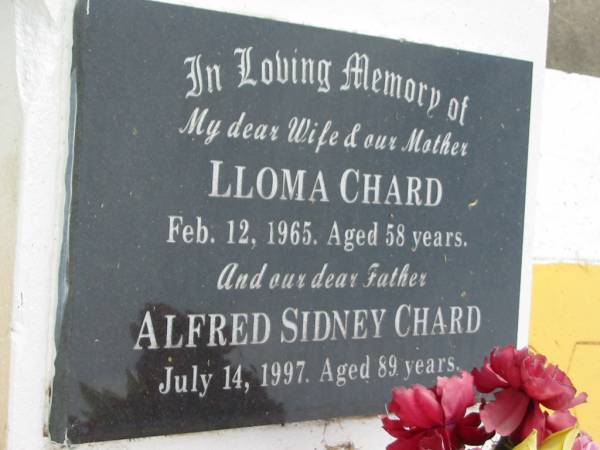 Lloma CHARD,  | wife mother,  | died 12 Feb 1965 aged 58 years;  | Alfred Sidney CHARD,  | father,  | died 14 July 1997 aged 89 years;  | Noel Sidney CHARD,  | husband father,  | died 12 Aug 1974 aged 46 years;  | Beryl Lloma THOMPSON,  | sister mother,  | died 18 May 1969 aged 38 years;  | Appletree Creek cemetery, Isis Shire  | 