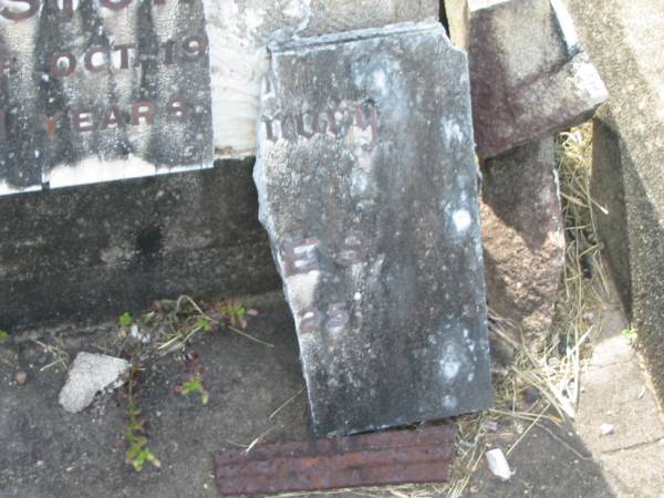 James STOKES,  | died 26 Oct 1925 aged 71 years;  | Appletree Creek cemetery, Isis Shire  | 