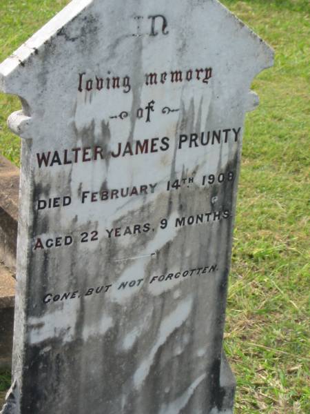 Walter James PRUNTY,  | died 14 Feb 1909? aged 22 years 9 months;  | Appletree Creek cemetery, Isis Shire  | 