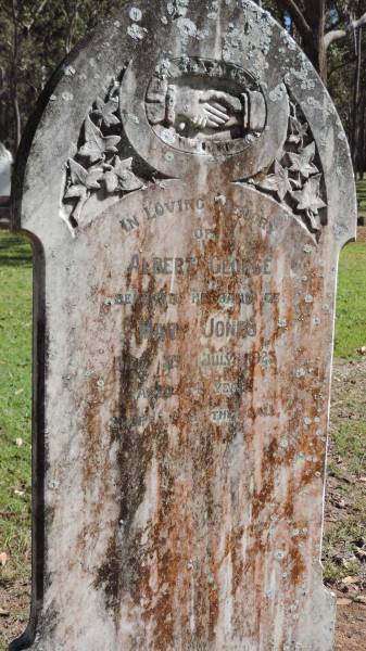 Albert George JONES  | husband of Mary JONES  | d: 3 Jul 1923 aged 54  |   | Atherton Pioneer Cemetery (Samuel Dansie Park)  |   |   | 