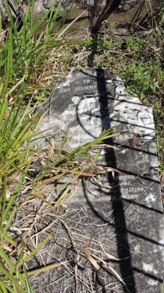 Clara (GLEESON)  | wife of M.F, GLEESON  | d: 10 Dec 1907 aged 29  |   | Atherton Pioneer Cemetery (Samuel Dansie Park)  |   |   | 