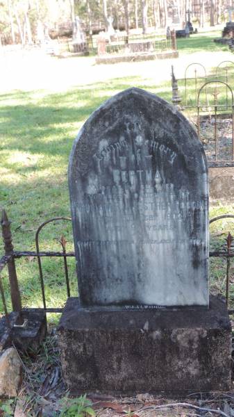 Bertha FOGGIN  | youngest daughter of William and Esther FOGGIN  | d: 16 Feb 1902 aged 9  |   | Atherton Pioneer Cemetery (Samuel Dansie Park)  |   |   | 