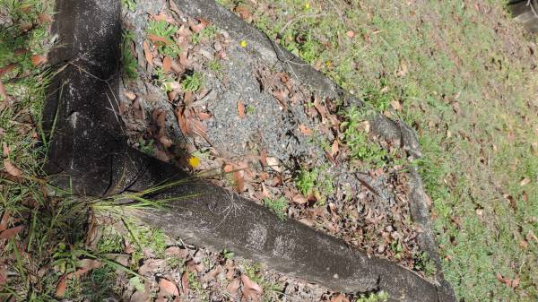   | Atherton Pioneer Cemetery (Samuel Dansie Park)  |   |   | 