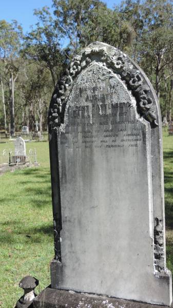 August Albert KATTENBERG  | d: 19 Oct 1917 aged 67 y 11 mo  |   | Atherton Pioneer Cemetery (Samuel Dansie Park)  |   |   | 