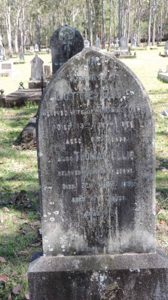 Lottie ELLIS  | d: 13 Sep 1926 aged 68  | wife of Thomas ELLIS  |   | Thomas ELLIS  | d: 7 Jan 1931 aged 79  |   | Atherton Pioneer Cemetery (Samuel Dansie Park)  |   |   | 