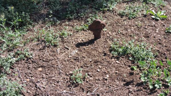 Aubigny Catholic Cemetery, Jondaryan  |   | 