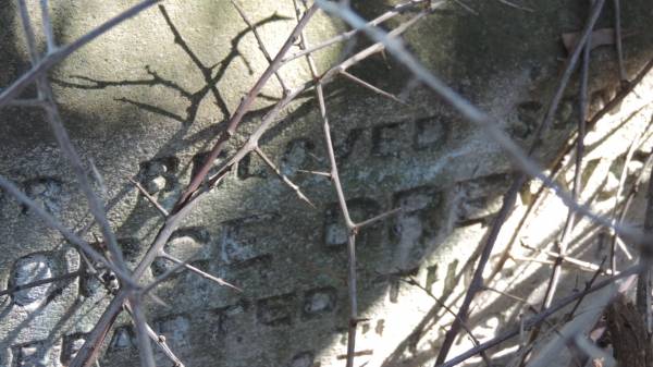 George DREWS  | d: 4 Dec 1895 aged 10  |   | Aubigny St Johns Lutheran cemetery, Toowoomba Region  |   | 