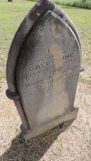 
Catherine URQUHART
d: 22 April 1924 aged 8
eldest daughter of Duncan and Janet URQUHART

Banana Cemetery, Banana Shire

