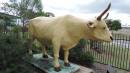 
bullock BANANA
who died nearby at Bananas Gully and gave his name to the town and shire of Banana

