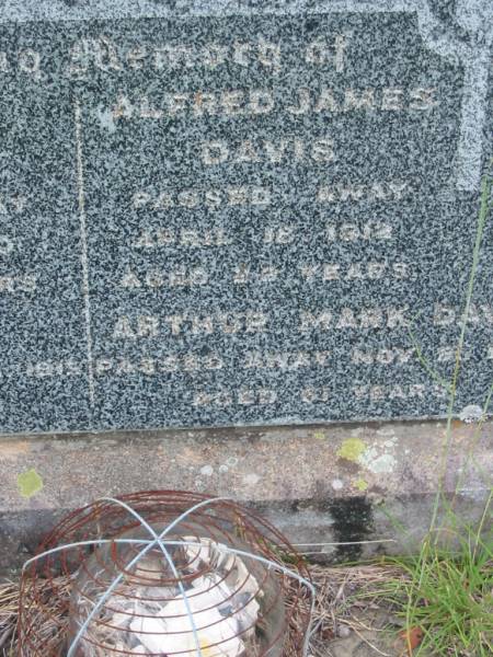 Rhoda DAVIS,  | died 4 Nov 1930 aged 74 years;  | James DAVIS,  | died 15 Sept 1915 aged 73 years;  | Alfred James DAVIS,  | died 18 April 1912 aged 22 years;  | Arthur Mark DAVIS,  | died 21 Nov 1957 aged 61 years;  | Barney View Uniting cemetery, Beaudesert Shire  | 